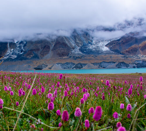 Summer Hike to Tilicho Lake